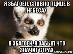 я збагоен, словно пцице в небесах я збагоен, я забыл что значит страх, Мем Я збагоен