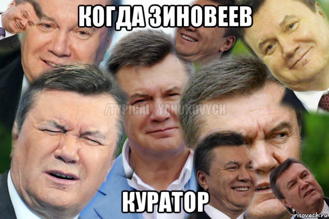 когда зиновеев куратор