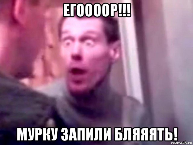 егоооор!!! мурку запили бляяять!