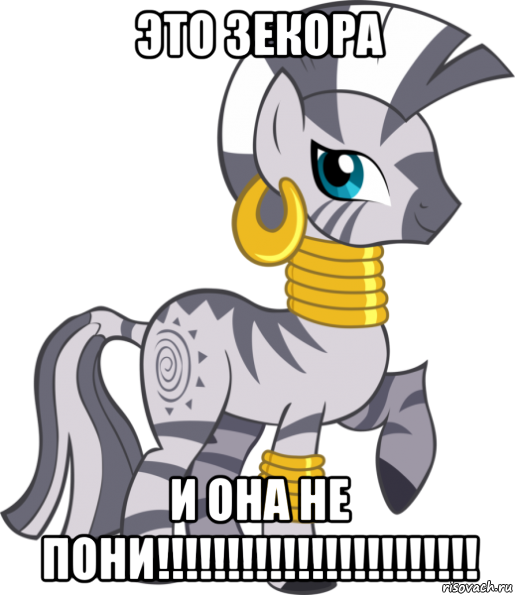 это зекора и она не пони!!!!!!!!!!!!!!!!!!!!!!!, Мем Зекора