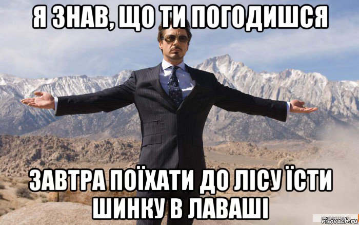 я знав, що ти погодишся завтра поїхати до лісу їсти шинку в лаваші, Мем железный человек