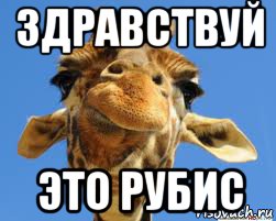 здравствуй это рубис, Мем жираф