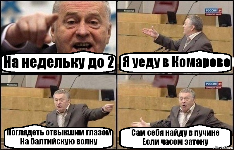 На недельку до 2 Я уеду в Комарово Поглядеть отвыкшим глазом
На балтийскую волну Сам себя найду в пучине
Если часом затону, Комикс Жириновский