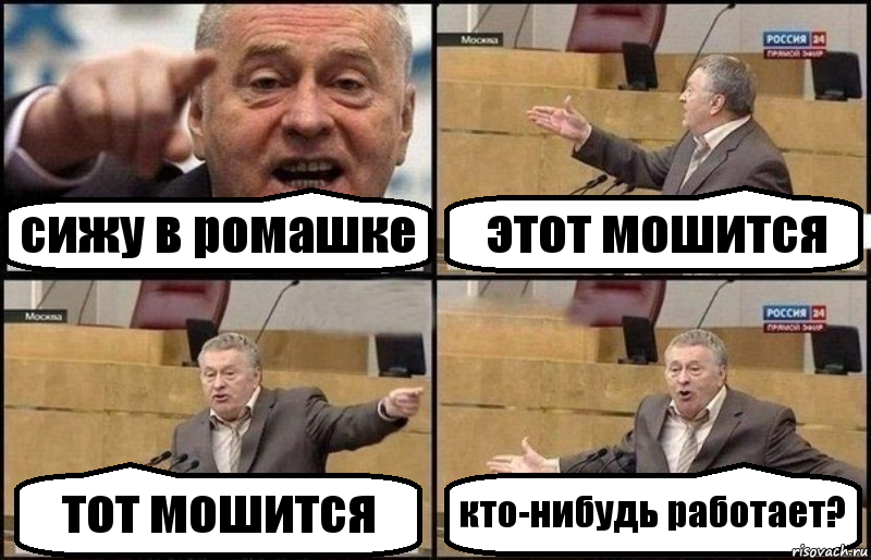 сижу в ромашке этот мошится тот мошится кто-нибудь работает?, Комикс Жириновский