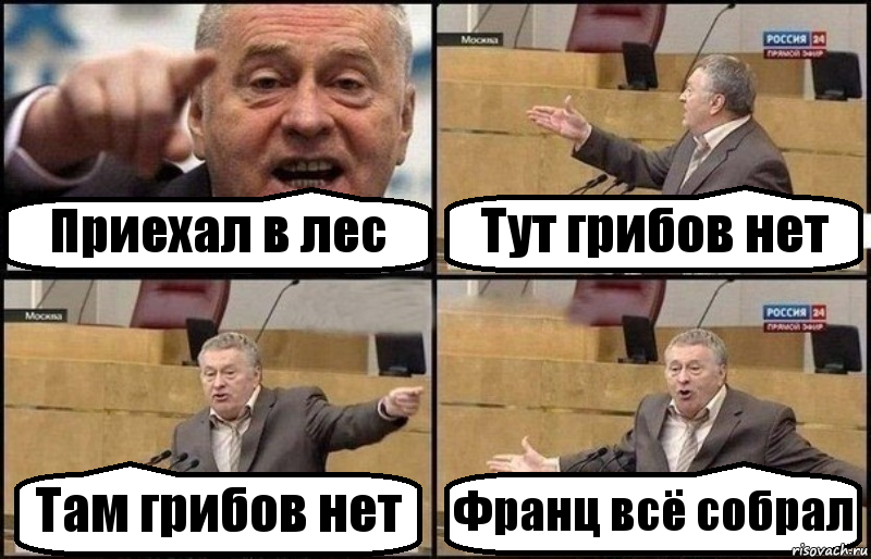 Приехал в лес Тут грибов нет Там грибов нет Франц всё собрал, Комикс Жириновский