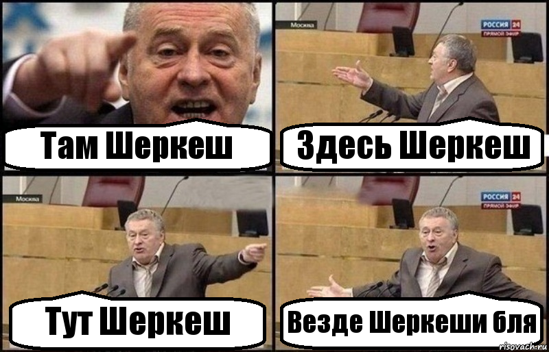 Там Шеркеш Здесь Шеркеш Тут Шеркеш Везде Шеркеши бля, Комикс Жириновский