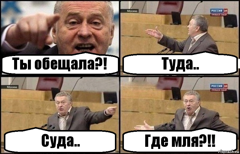 Ты обещала?! Туда.. Суда.. Где мля?!!, Комикс Жириновский