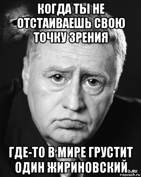 когда ты не отстаиваешь свою точку зрения где-то в мире грустит один жириновский, Мем жириновский