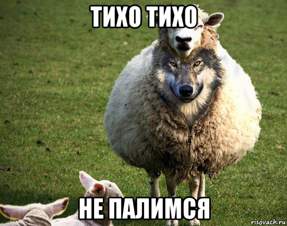 тихо тихо не палимся, Мем Злая Овца