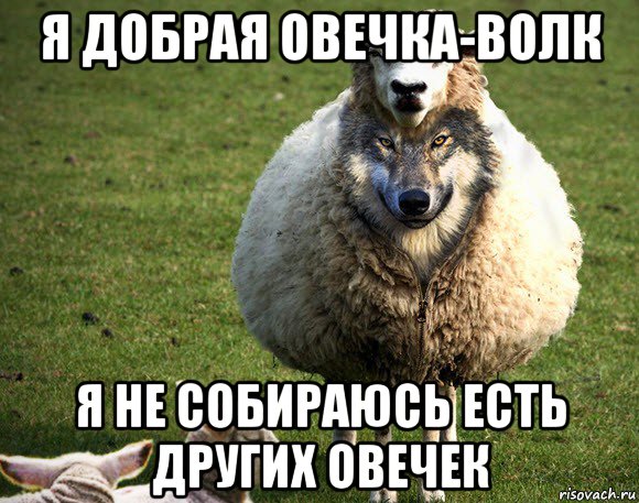 я добрая овечка-волк я не собираюсь есть других овечек, Мем Злая Овца