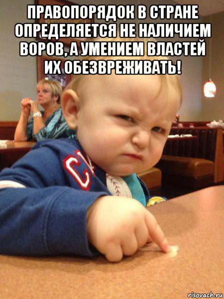 правопорядок в стране определяется не наличием воров, а умением властей их обезвреживать! 