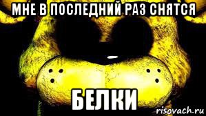 мне в последний раз снятся белки