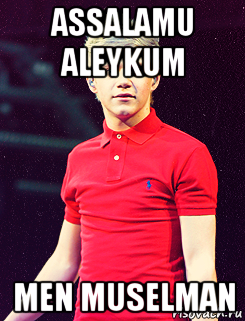 assalamu aleykum men muselman, Мем 1D Nail Horan