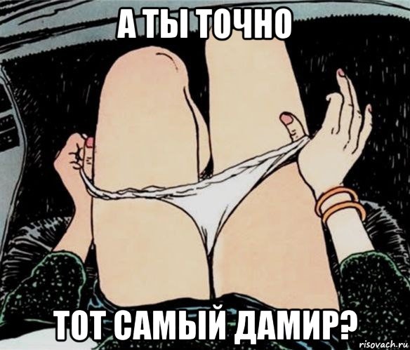 а ты точно тот самый дамир?, Мем А ты точно