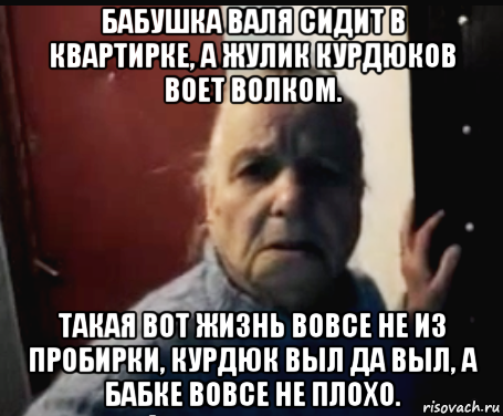бабушка валя сидит в квартирке, а жулик курдюков воет волком. такая вот жизнь вовсе не из пробирки, курдюк выл да выл, а бабке вовсе не плохо., Мем аносова вал