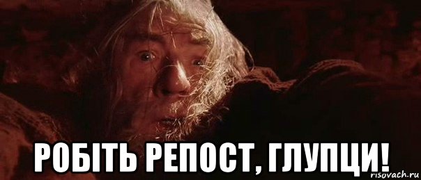  робіть репост, глупци!, Мем бегите глупцы