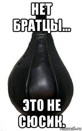 нет братцы... это не сюсик., Мем Боксерская груша