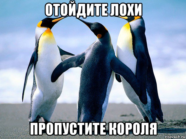 отойдите лохи пропустите короля