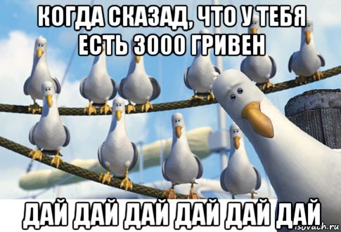 когда сказад, что у тебя есть 3000 гривен дай дай дай дай дай дай