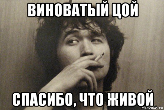 виноватый цой спасибо, что живой