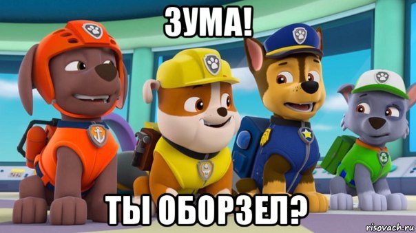 зума! ты оборзел?
