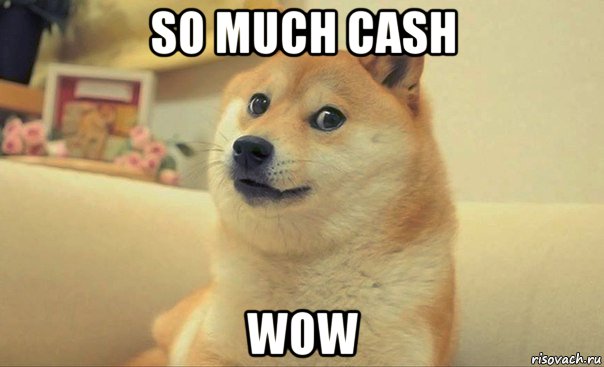 so much cash wow, Мем DOGE