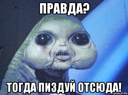 правда? тогда пиздуй отсюда!