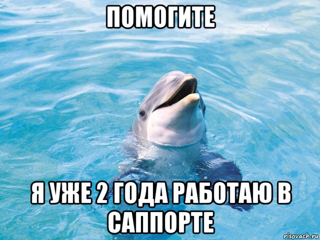 помогите я уже 2 года работаю в саппорте, Мем Дельфин