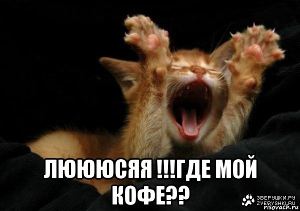  люююсяя !!!где мой кофе??