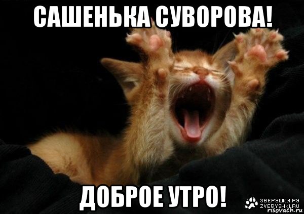 сашенька суворова! доброе утро!