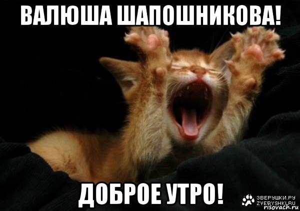 валюша шапошникова! доброе утро!