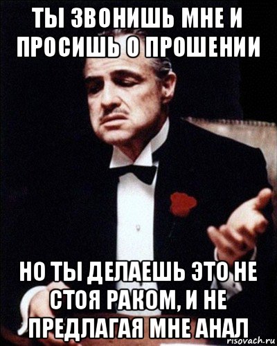 ты звонишь мне и просишь о прошении но ты делаешь это не стоя раком, и не предлагая мне анал