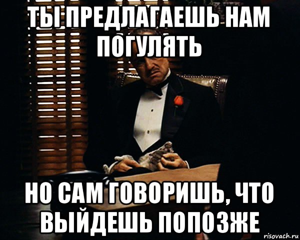 ты предлагаешь нам погулять но сам говоришь, что выйдешь попозже, Мем Дон Вито Корлеоне