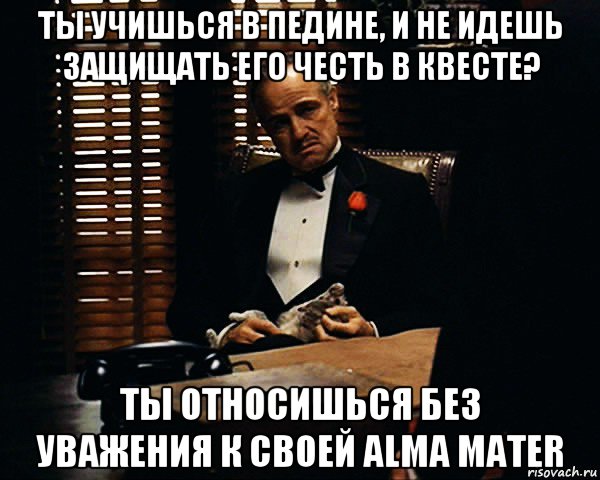 ты учишься в педине, и не идешь защищать его честь в квесте? ты относишься без уважения к своей alma mater, Мем Дон Вито Корлеоне