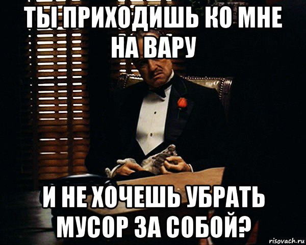 ты приходишь ко мне на вару и не хочешь убрать мусор за собой?, Мем Дон Вито Корлеоне