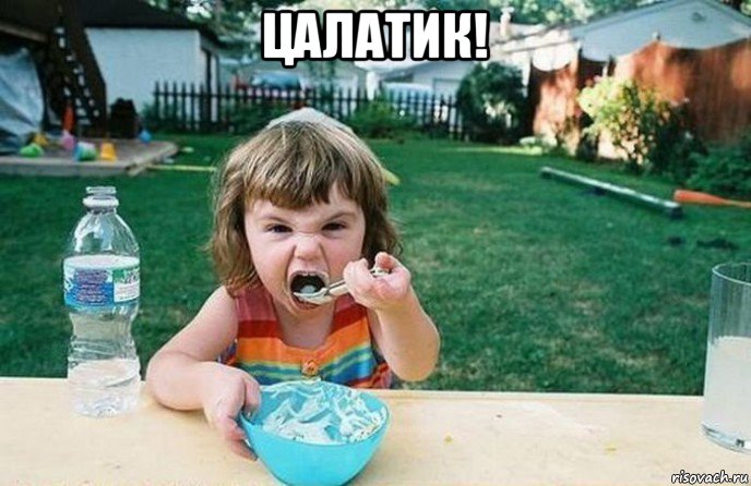 цалатик! , Мем Ебать как я люблю