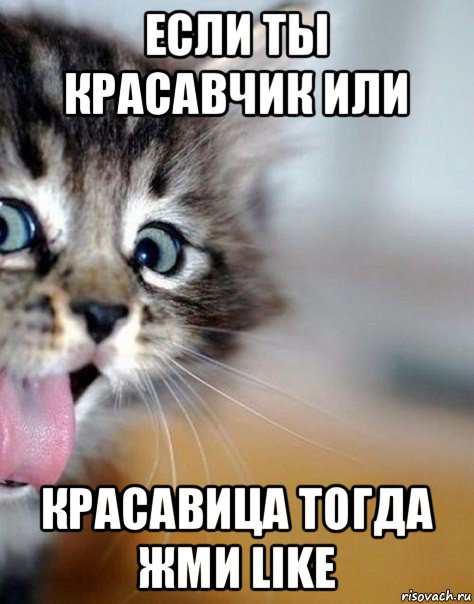 если ты красавчик или красавица тогда жми like