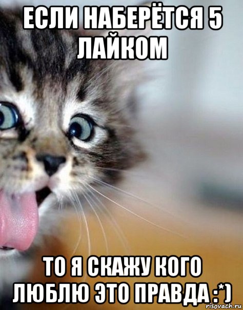 если наберётся 5 лайком то я скажу кого люблю это правда :*)