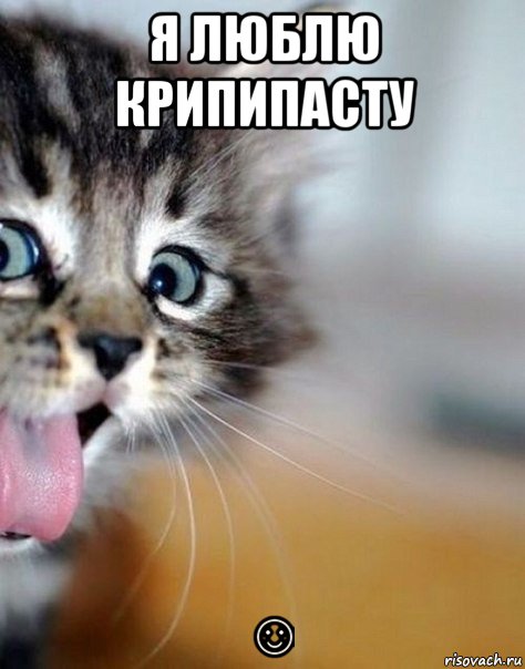 я люблю крипипасту ☺