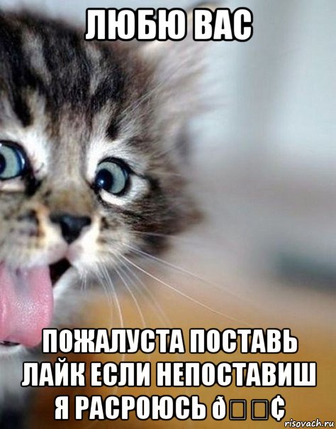 смешная картинка, смешной комикс, прикол