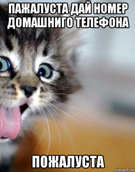 пажалуста дай номер домашниго телефона пожалуста