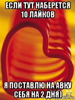 если тут наберется 10 лайков я поставлю на авку себя на 2 дня), Мем Если наберётся 50 лайков  то пос