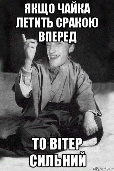 якщо чайка летить сракою вперед то вітер сильний