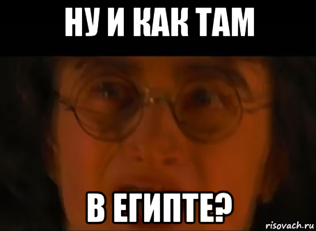 ну и как там в египте?, Мем Гарри повар2