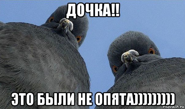 дочка!! это были не опята)))))))))