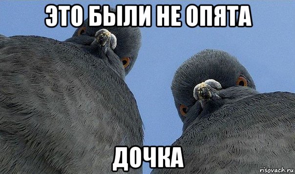 это были не опята дочка