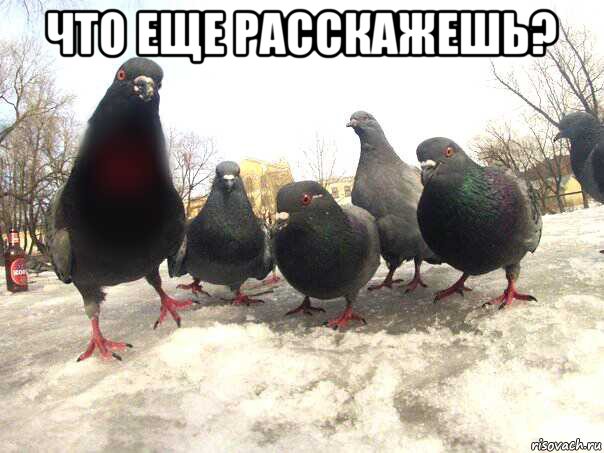 что еще расскажешь? 