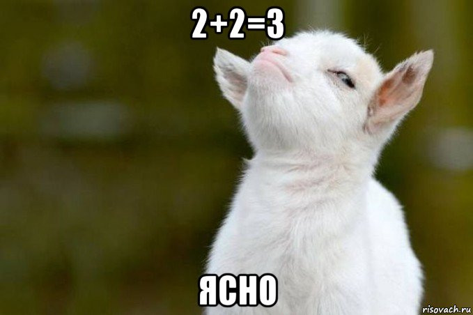 2+2=3 ясно