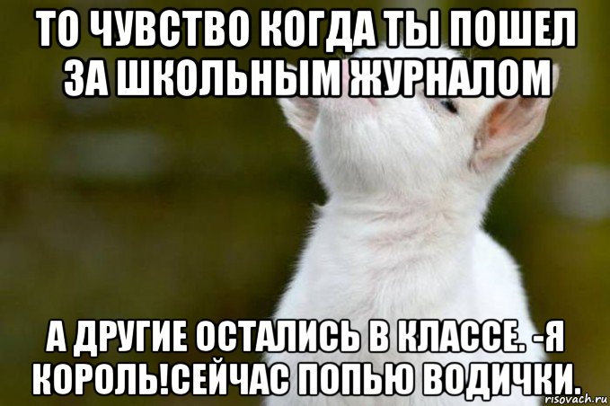 то чувство когда ты пошел за школьным журналом а другие остались в классе. -я король!сейчас попью водички., Мем  Гордый козленок