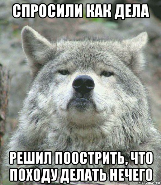 спросили как дела решил поострить, что походу делать нечего, Мем    Гордый волк